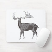 Iers Elk-Megaceros hibernicus Muismat (Met muis)