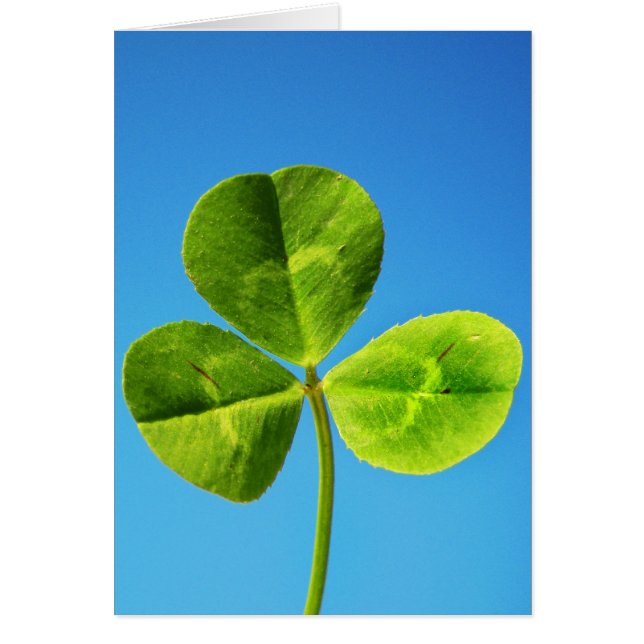 Iers geluk (Voorkant)