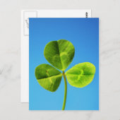 Iers geluk briefkaart (Voorkant / Achterkant)