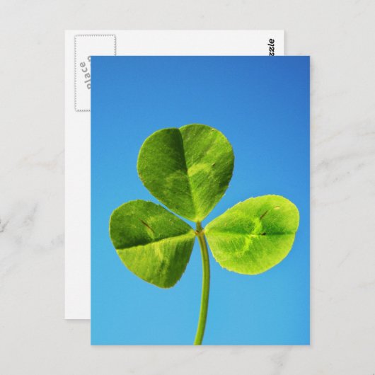 Iers geluk briefkaart (Voorkant / Achterkant)