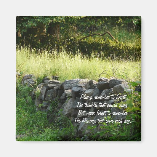 Iers Gezegde/Land Magneet (Voorkant)