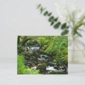 Iers Groen - Ierland Briefkaart (Staand voorkant)