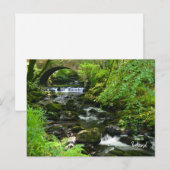 Iers Groen - Ierland Briefkaart (Voorkant / Achterkant)