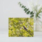 Iers Hartelijk dank voor uw persoonlijke kaart (Staand voorkant)