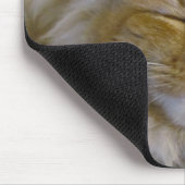 Iers kat wil kus muismat (Hoek)