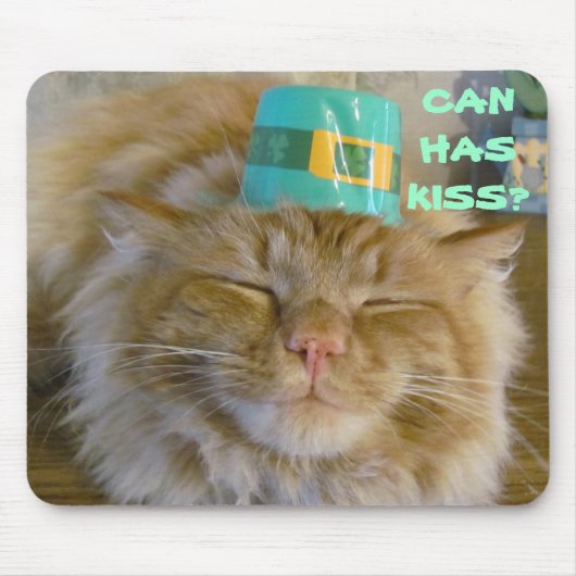 Iers kat wil kus muismat (Voorkant)