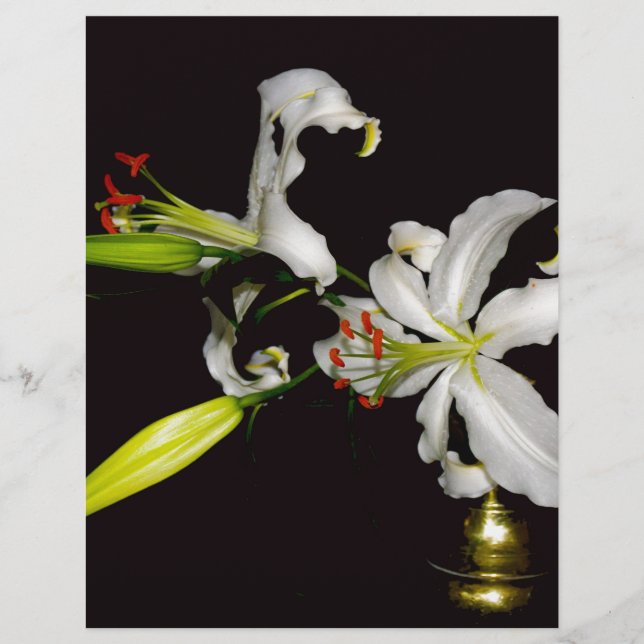 Iers ontwerp - Collectie voor messing en bloem (Voorkant)