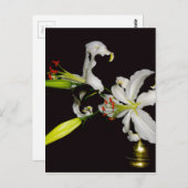 Iers ontwerp - Collectie voor messing en bloem Briefkaart (Voorkant / Achterkant)