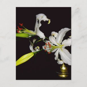 Iers ontwerp - Collectie voor messing en bloem Briefkaart