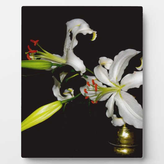 Iers ontwerp - Collectie voor messing en bloem Fotoplaat (Voorkant)