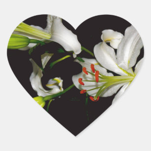 Iers ontwerp - Collectie voor messing en bloem Hart Sticker