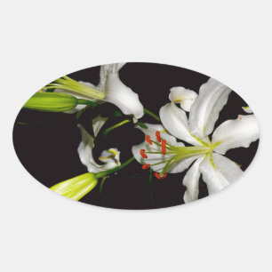 Iers ontwerp - Collectie voor messing en bloem Ovale Sticker