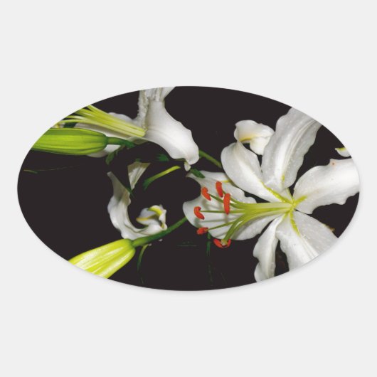 Iers ontwerp - Collectie voor messing en bloem Ovale Sticker (Voorkant)