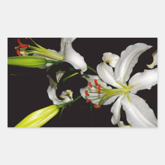 Iers ontwerp - Collectie voor messing en bloem Rechthoekige Sticker (Voorkant)