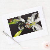 Iers ontwerp - Collectie voor messing en bloem Rechthoekige Sticker (Envelop)