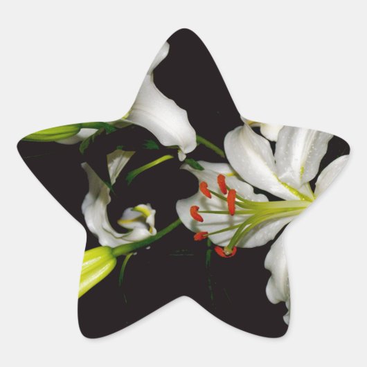 Iers ontwerp - Collectie voor messing en bloem Ster Sticker (Voorkant)