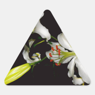 Iers ontwerp - Collectie voor messing en bloem Sticker