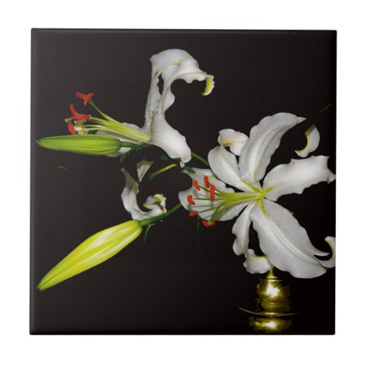 Iers ontwerp - Collectie voor messing en bloem Tegeltje (Voorkant)