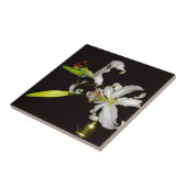 Iers ontwerp - Collectie voor messing en bloem Tegeltje (Zijkant)