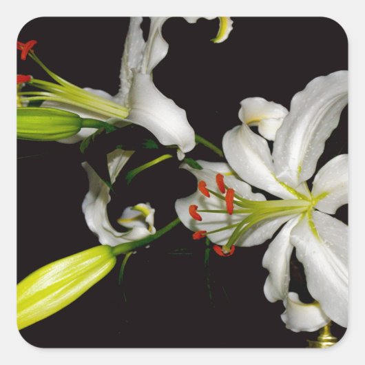 Iers ontwerp - Collectie voor messing en bloem Vierkante Sticker (Voorkant)