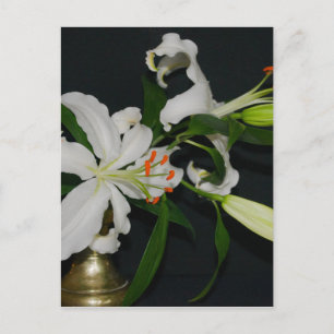Iers ontwerp-Messing en Bloemencollectie Briefkaart