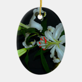 Iers ontwerp-Messing en Bloemencollectie Keramisch Ornament