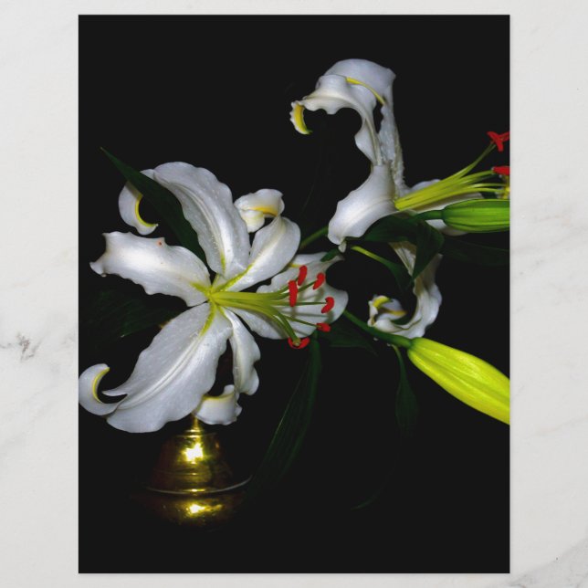 Iers ontwerp-messing en ventilatorontwerp (Voorkant)