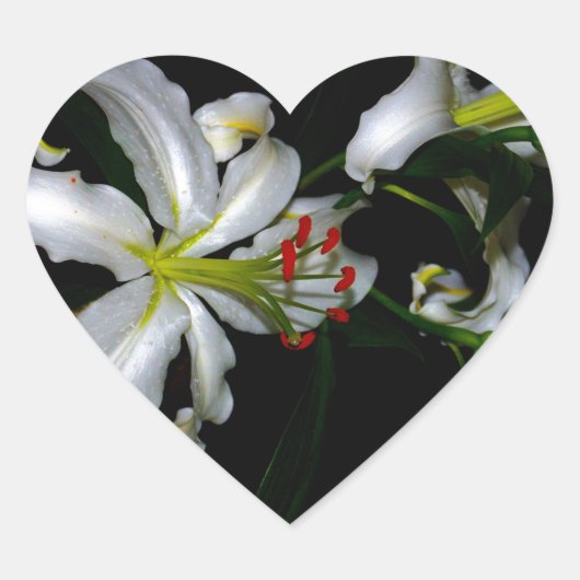 Iers ontwerp-messing en ventilatorontwerp hart sticker (Voorkant)