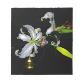 Iers ontwerp-messing en ventilatorontwerp notitieblok (Voorkant)