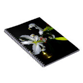 Iers ontwerp-messing en ventilatorontwerp notitieboek (Rechterzijde)