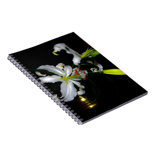 Iers ontwerp-messing en ventilatorontwerp notitieboek (Rechterzijde)