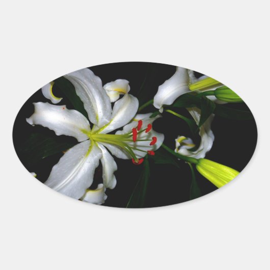 Iers ontwerp-messing en ventilatorontwerp ovale sticker (Voorkant)