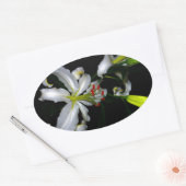 Iers ontwerp-messing en ventilatorontwerp ovale sticker (Envelop)