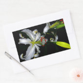 Iers ontwerp-messing en ventilatorontwerp rechthoekige sticker (Envelop)