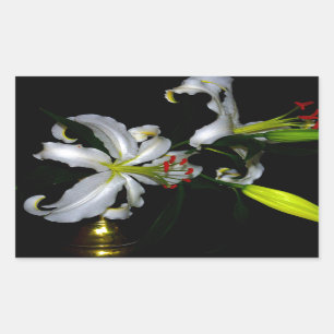 Iers ontwerp-messing en ventilatorontwerp rechthoekige sticker