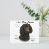 Iers ontwerp voor de geschiedenis van waterspaniel briefkaart (Staand voorkant)