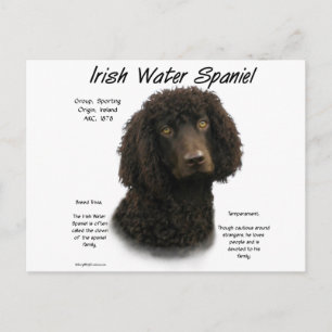 Iers ontwerp voor de geschiedenis van waterspaniel briefkaart