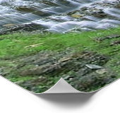 Iers Poster voor waterval (Hoek)