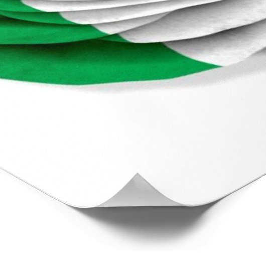 Iers Roos Vlag op wit Poster (Hoek)