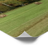 Iers spreekwoord: geen angst voor de winnajaarshoo poster (Hoek)