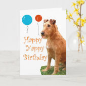 IERS TERRIER KAART (Gele Bloem)