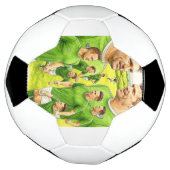 Iers voetbal vieren (Gedraaid)