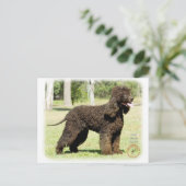 Iers waterspaniel 9R032D-232 Briefkaart (Staand voorkant)