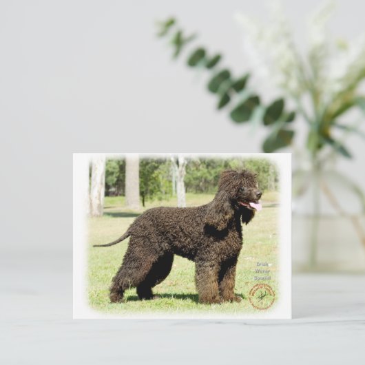 Iers waterspaniel 9R032D-232 Briefkaart (Staand voorkant)