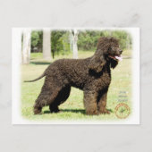 Iers waterspaniel 9R032D-232 Briefkaart (Voorkant)