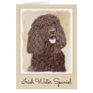Iers waterspaniel schilderen - Oorspronkelijke hon