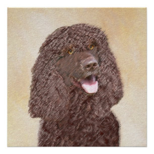Iers waterspaniel schilderen - Oorspronkelijke hon Perfect Poster