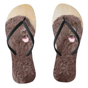 Iers waterspaniel schilderen - Oorspronkelijke hon Teenslippers