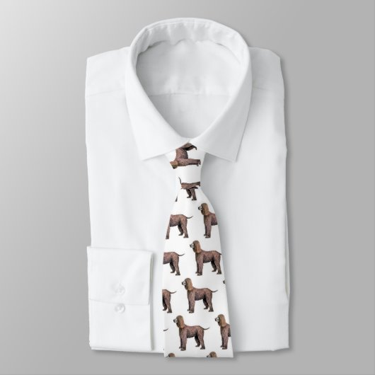 Iers waterspaniel stropdas (Gebonden)