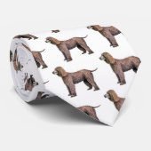 Iers waterspaniel stropdas (Opgerold)